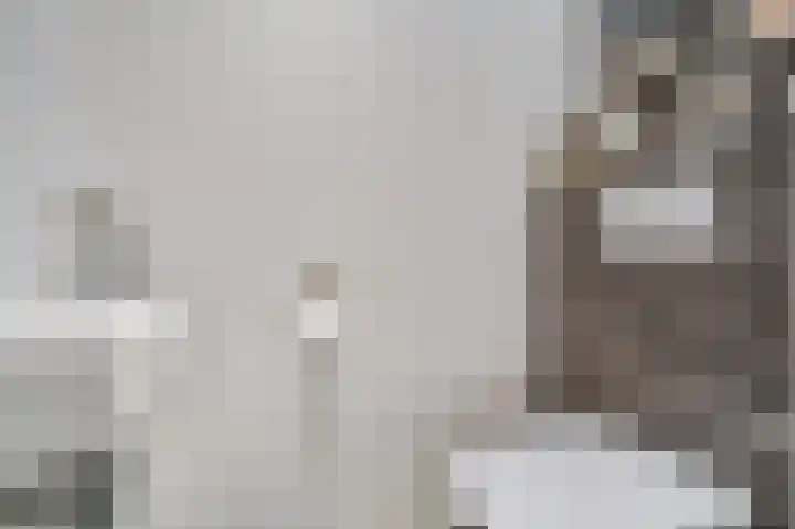 Daelhofpad 9 A Maastricht thumbnail 16