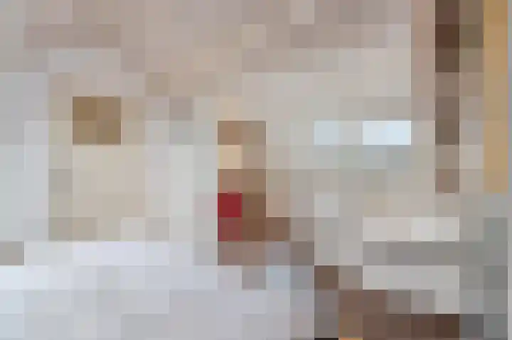 Daelhofpad 9 A Maastricht thumbnail 26