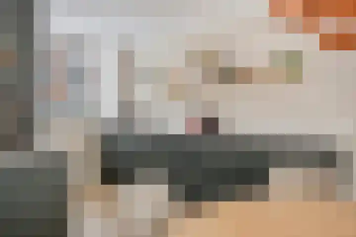 Daelwijcklaan 1 A Utrecht thumbnail 10