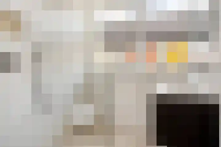 Daelwijcklaan 1 A Utrecht thumbnail 16