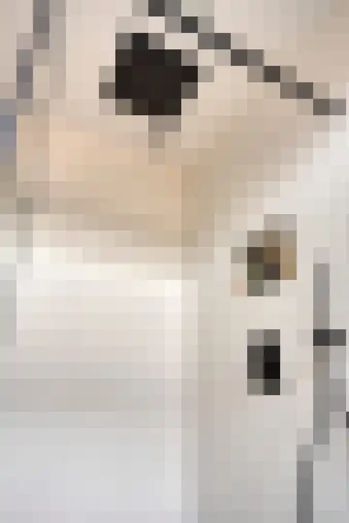 Daelwijcklaan 1 A Utrecht thumbnail 17