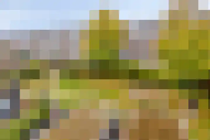 Daelwijcklaan 1 A Utrecht thumbnail 22