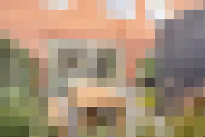 Daelwijcklaan 1 A Utrecht thumbnail 25