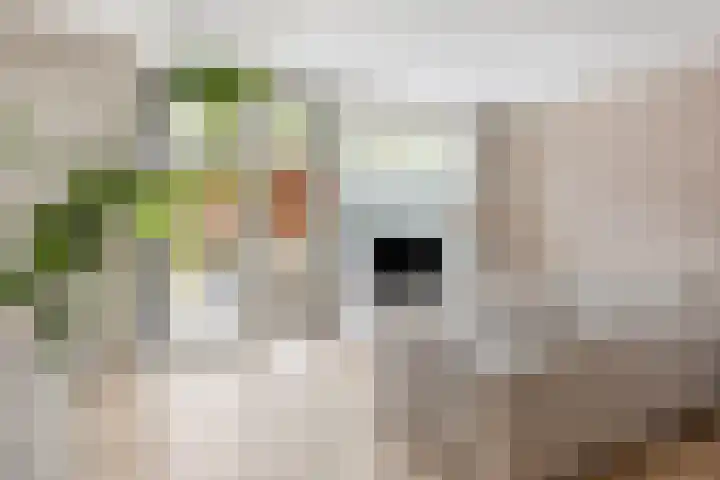 Daelwijcklaan 1 A Utrecht thumbnail 7
