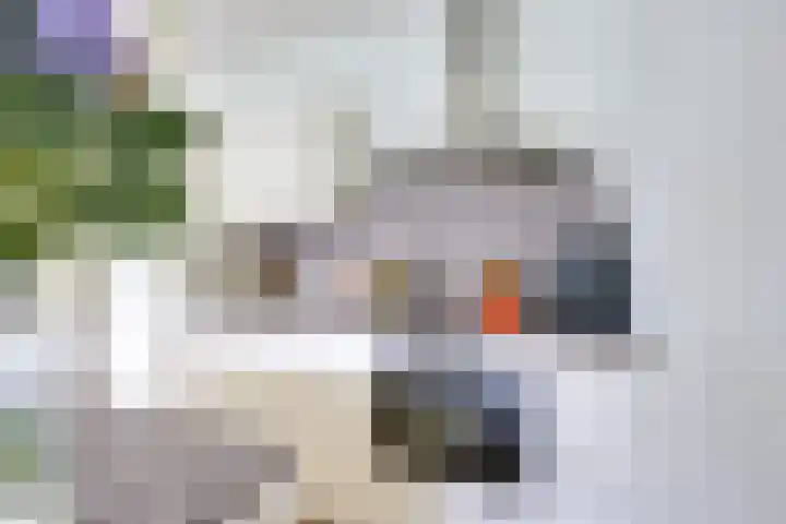 Daelwijcklaan 170 Utrecht thumbnail 11