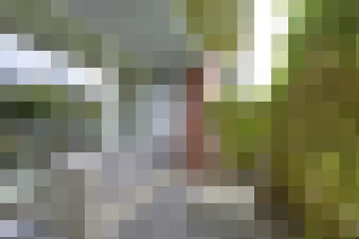 Daelwijcklaan 170 Utrecht thumbnail 12