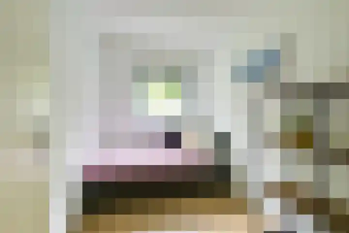 Daelwijcklaan 170 Utrecht thumbnail 15
