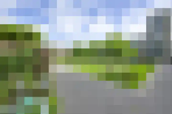 Daelwijcklaan 170 Utrecht thumbnail 19