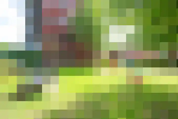 Daelwijcklaan 170 Utrecht thumbnail 20