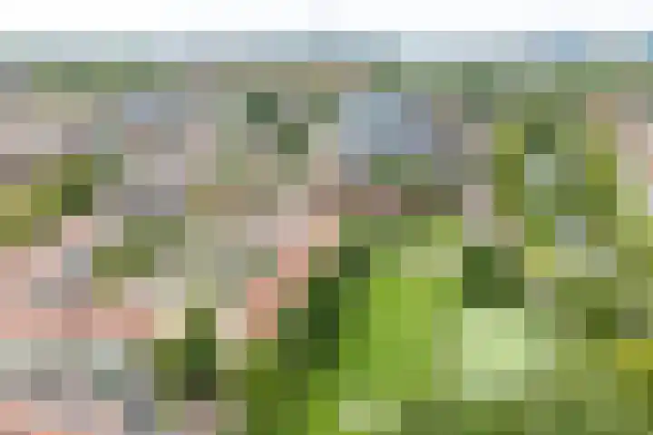 Daelwijcklaan 170 Utrecht thumbnail 25