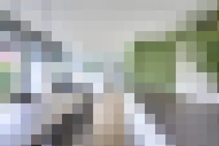 Daelwijcklaan 170 Utrecht thumbnail 8
