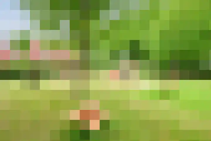 Daelwijcklaan 172 Utrecht thumbnail 11