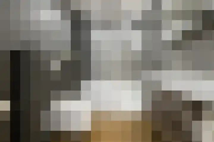 Daelwijcklaan 172 Utrecht thumbnail 14