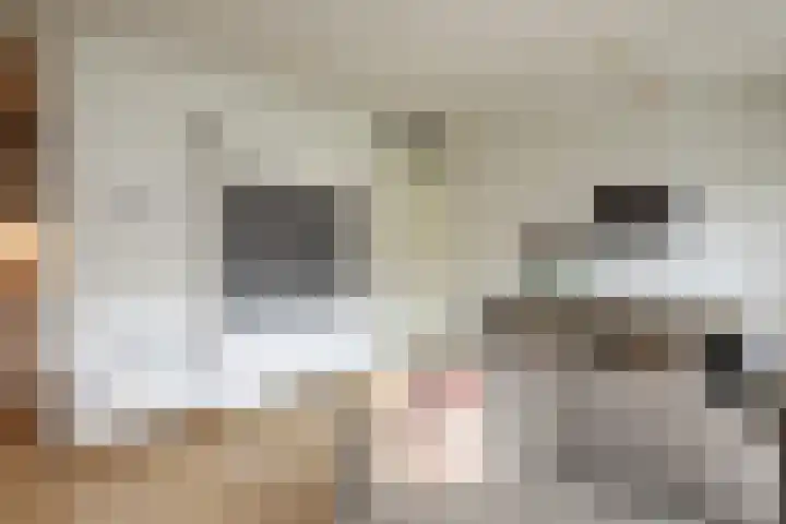 Daelwijcklaan 172 Utrecht thumbnail 25