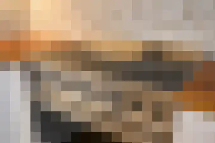 Daelwijcklaan 172 Utrecht thumbnail 27