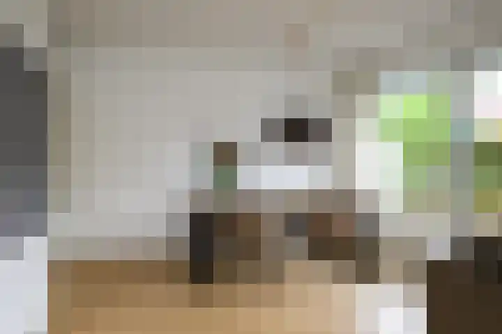 Daelwijcklaan 172 Utrecht thumbnail 30