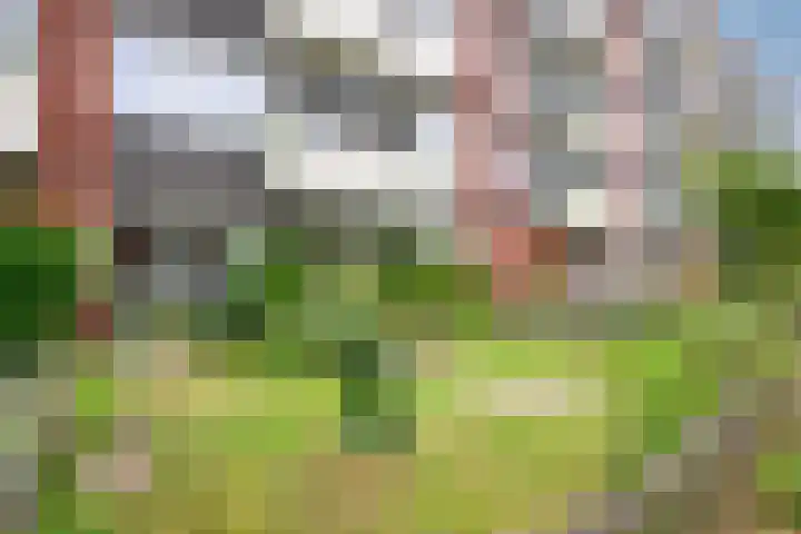Daelwijcklaan 172 Utrecht thumbnail 33