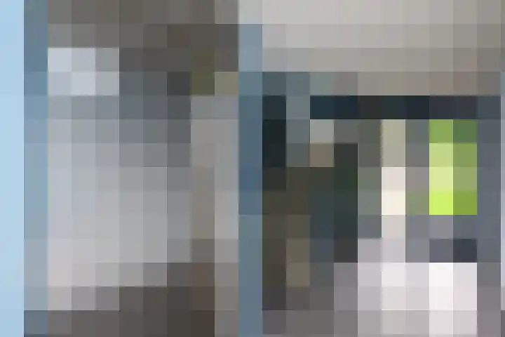 Daelwijcklaan 172 Utrecht thumbnail 4