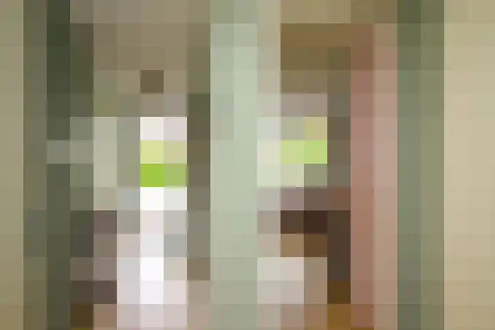 Daelwijcklaan 172 Utrecht thumbnail 9
