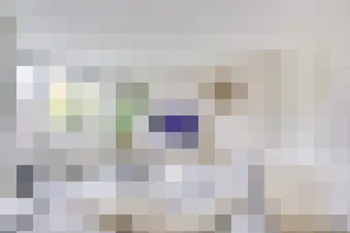 Daelwijcklaan 180 Utrecht thumbnail 12