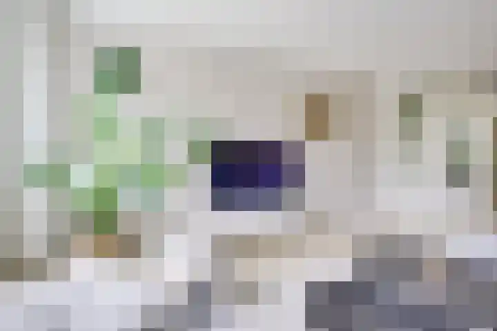 Daelwijcklaan 180 Utrecht thumbnail 17