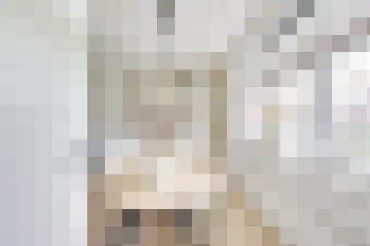 Daelwijcklaan 180 Utrecht thumbnail 18