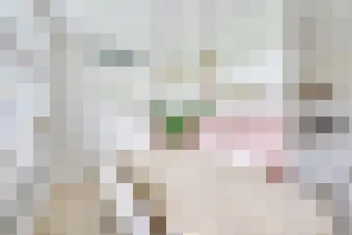 Daelwijcklaan 180 Utrecht thumbnail 19