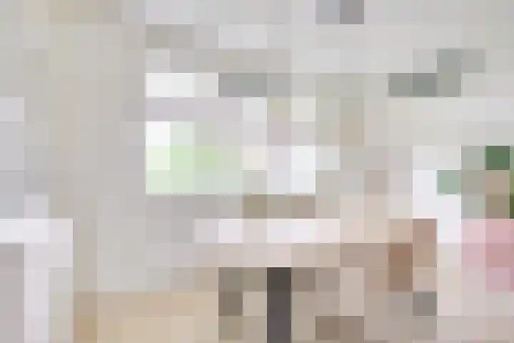 Daelwijcklaan 180 Utrecht thumbnail 20