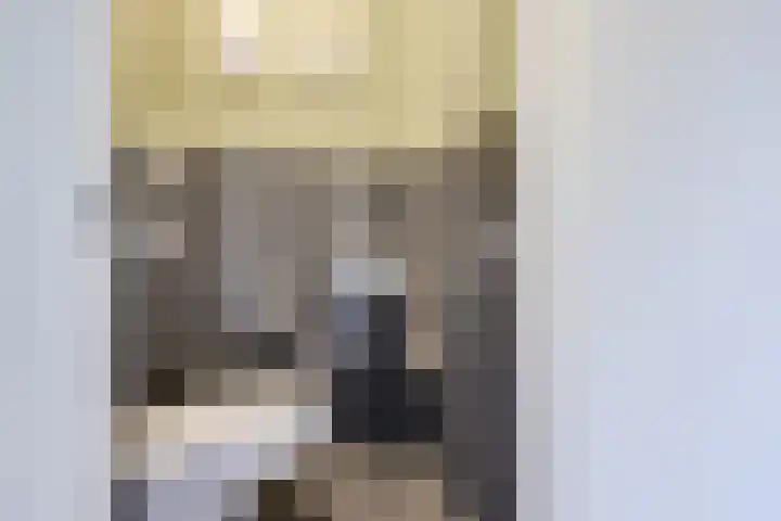 Daelwijcklaan 180 Utrecht thumbnail 29