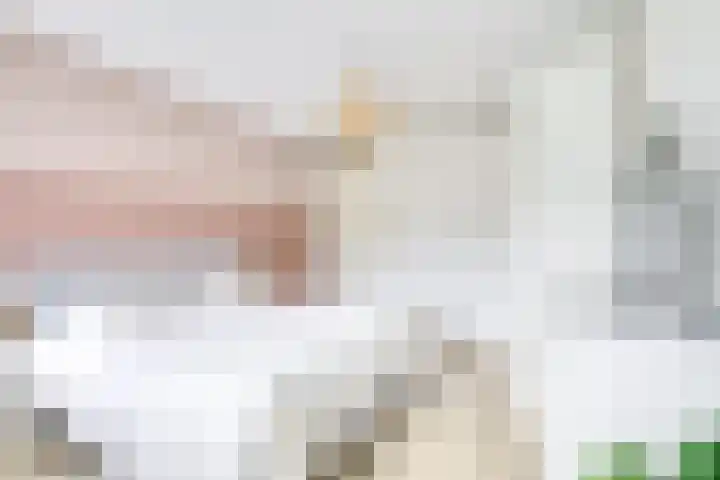 Daelwijcklaan 180 Utrecht thumbnail 32