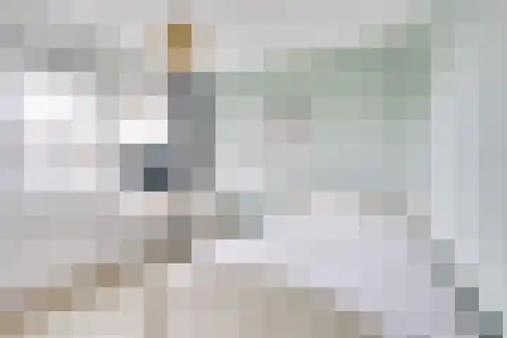 Daelwijcklaan 180 Utrecht thumbnail 33