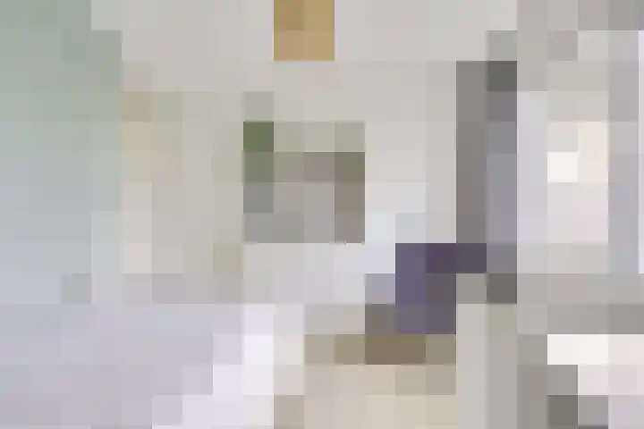 Daelwijcklaan 180 Utrecht thumbnail 35