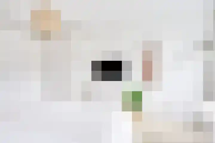 Daelwijcklaan 180 Utrecht thumbnail 39