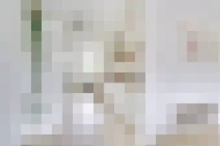Daelwijcklaan 180 Utrecht thumbnail 7