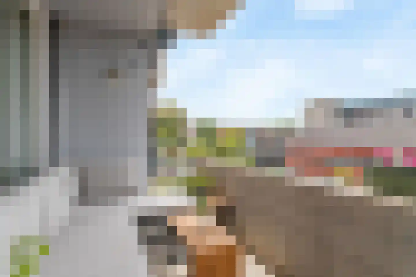 Daelwijcklaan 186 Utrecht thumbnail 4