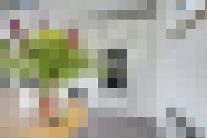 Daelwijcklaan 226 Utrecht thumbnail 14