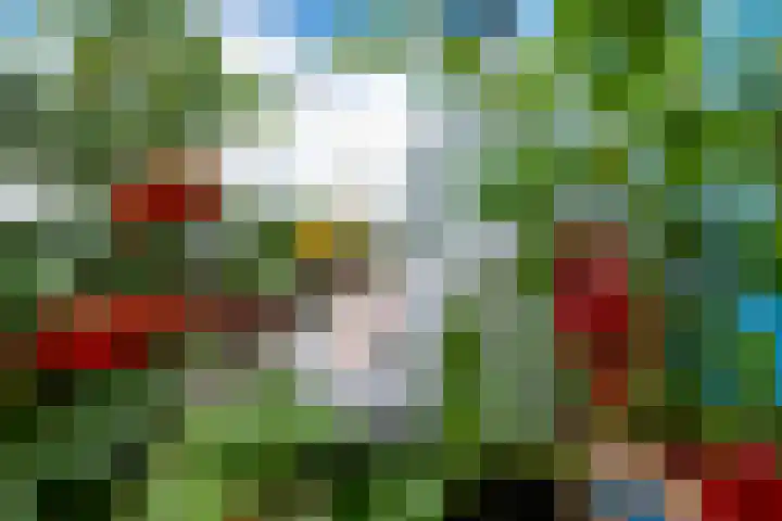 Daelwijcklaan 226 Utrecht thumbnail 24