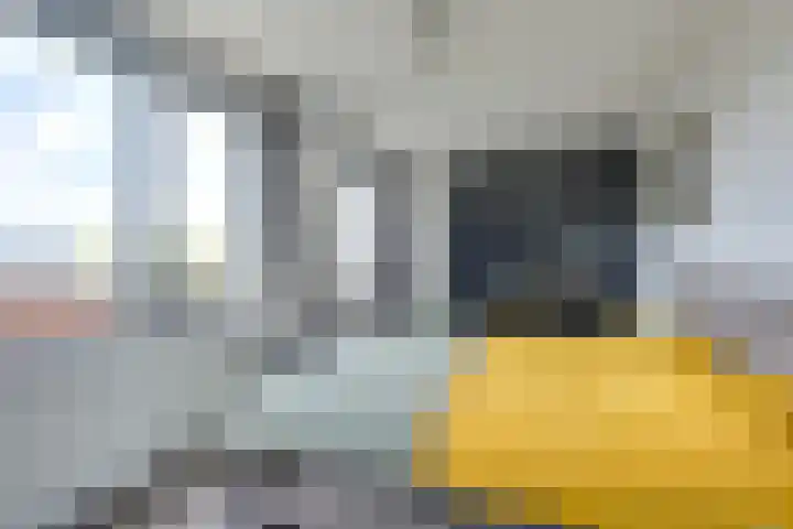 Daelwijcklaan 226 Utrecht thumbnail 29