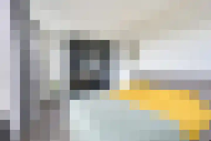 Daelwijcklaan 226 Utrecht thumbnail 30