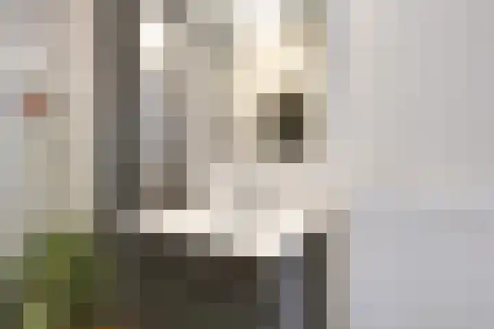 Daelwijcklaan 226 Utrecht thumbnail 36