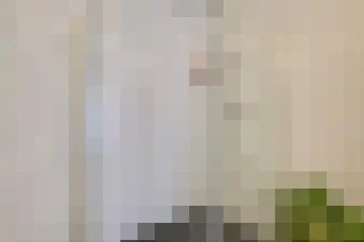 Daelwijcklaan 226 Utrecht thumbnail 37