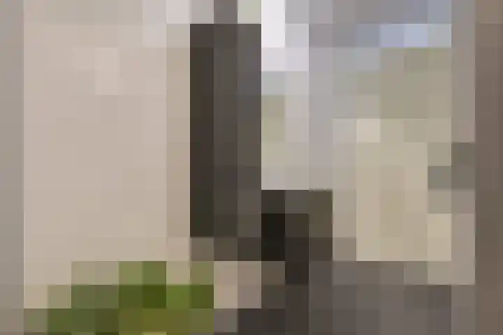 Daelwijcklaan 226 Utrecht thumbnail 38