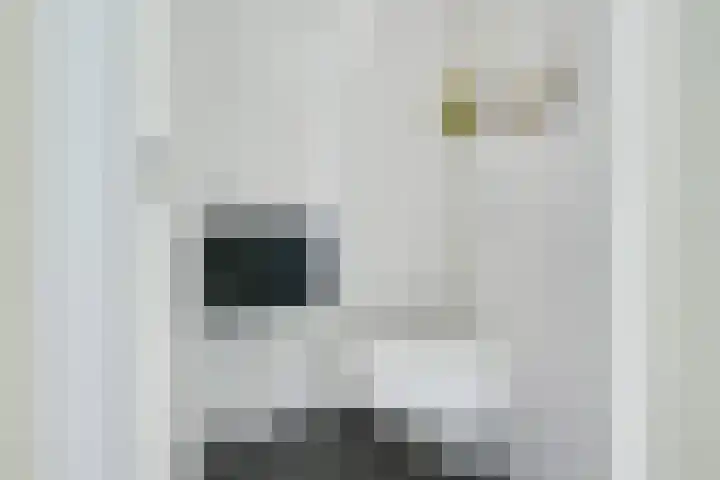Daelwijcklaan 226 Utrecht thumbnail 41