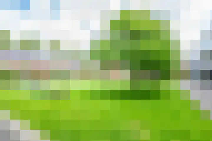 Daelwijcklaan 226 Utrecht thumbnail 43