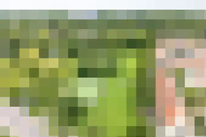 Daelwijcklaan 226 Utrecht thumbnail 44