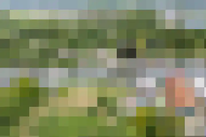 Daelwijcklaan 226 Utrecht thumbnail 45