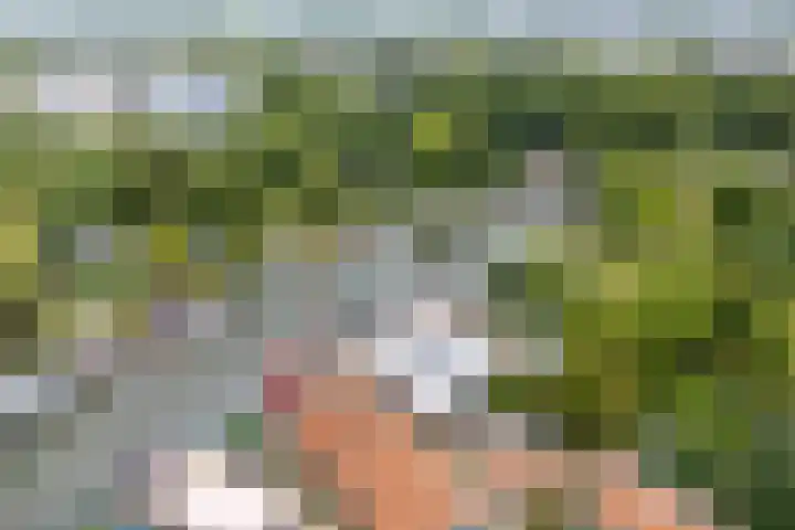 Daelwijcklaan 226 Utrecht thumbnail 46