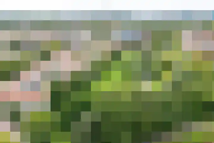 Daelwijcklaan 226 Utrecht thumbnail 48