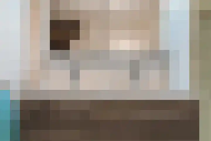 Daemslunet 10 E Maastricht thumbnail 19