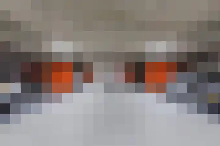 Daemslunet 10 E Maastricht thumbnail 21